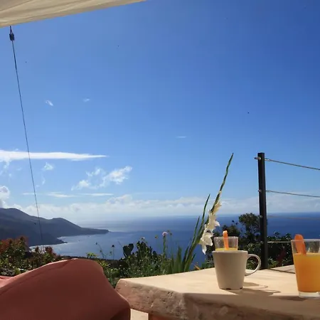 La Palmita *