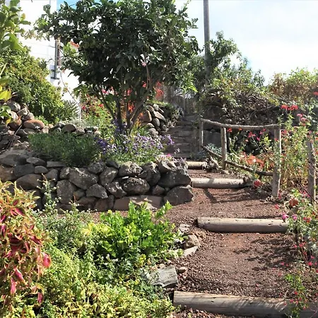 La Palmita Villa