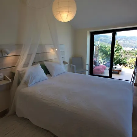 La Palmita Villa *